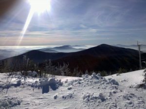 164105_788529019361_26344_n