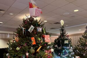 -5116561035292351507_(2)