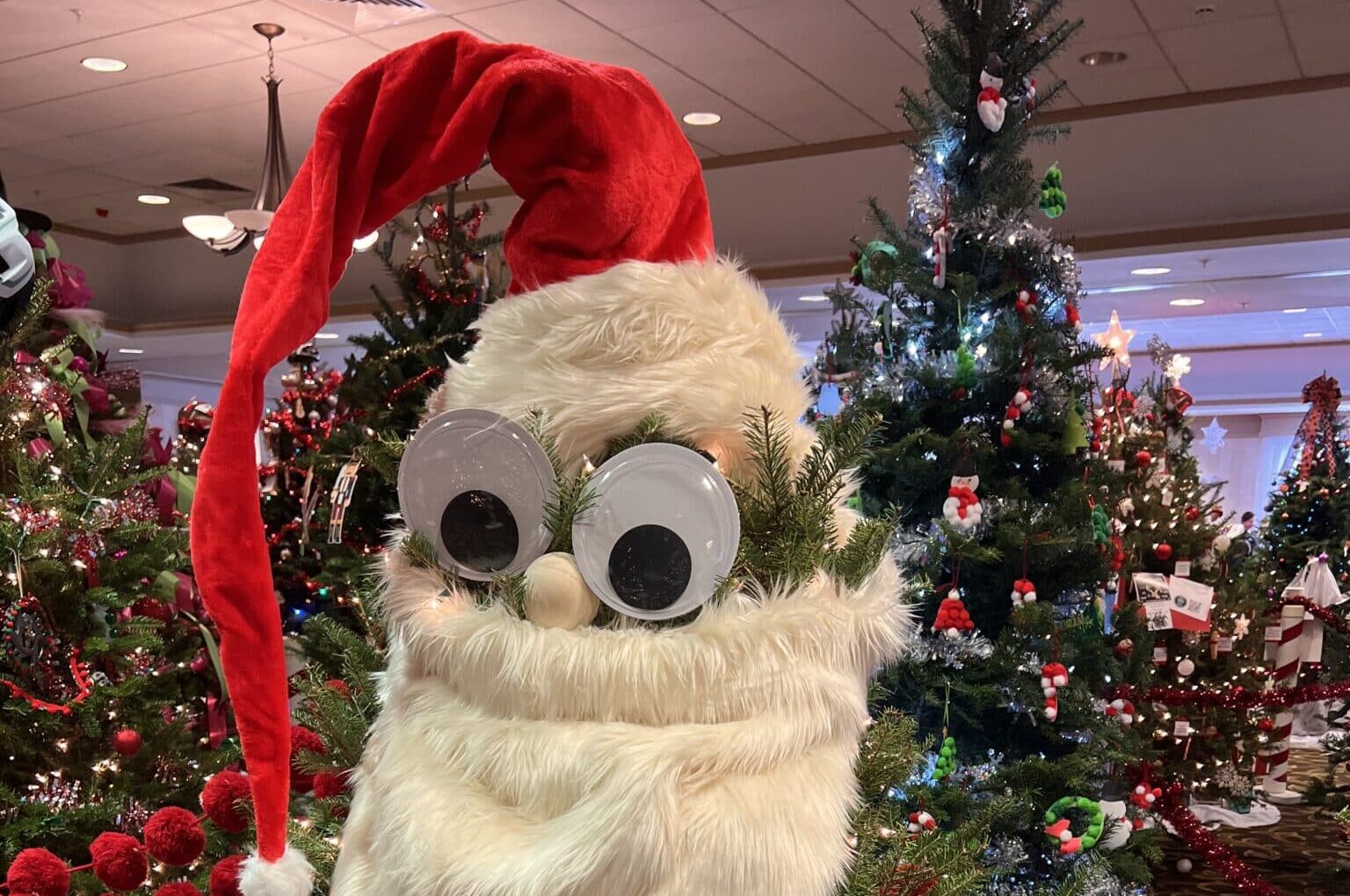 7992756101043849893_(2)